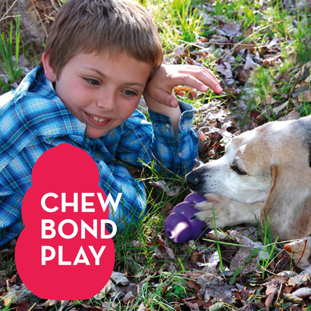 KONG Senior Dog Toy- Gentle Chew & Interactive
