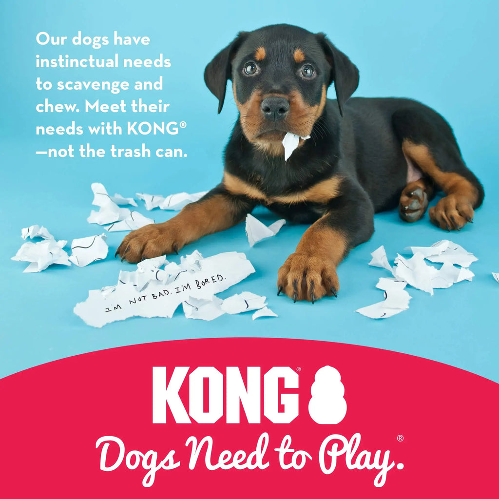 KONG Senior Dog Toy- Gentle Chew & Interactive