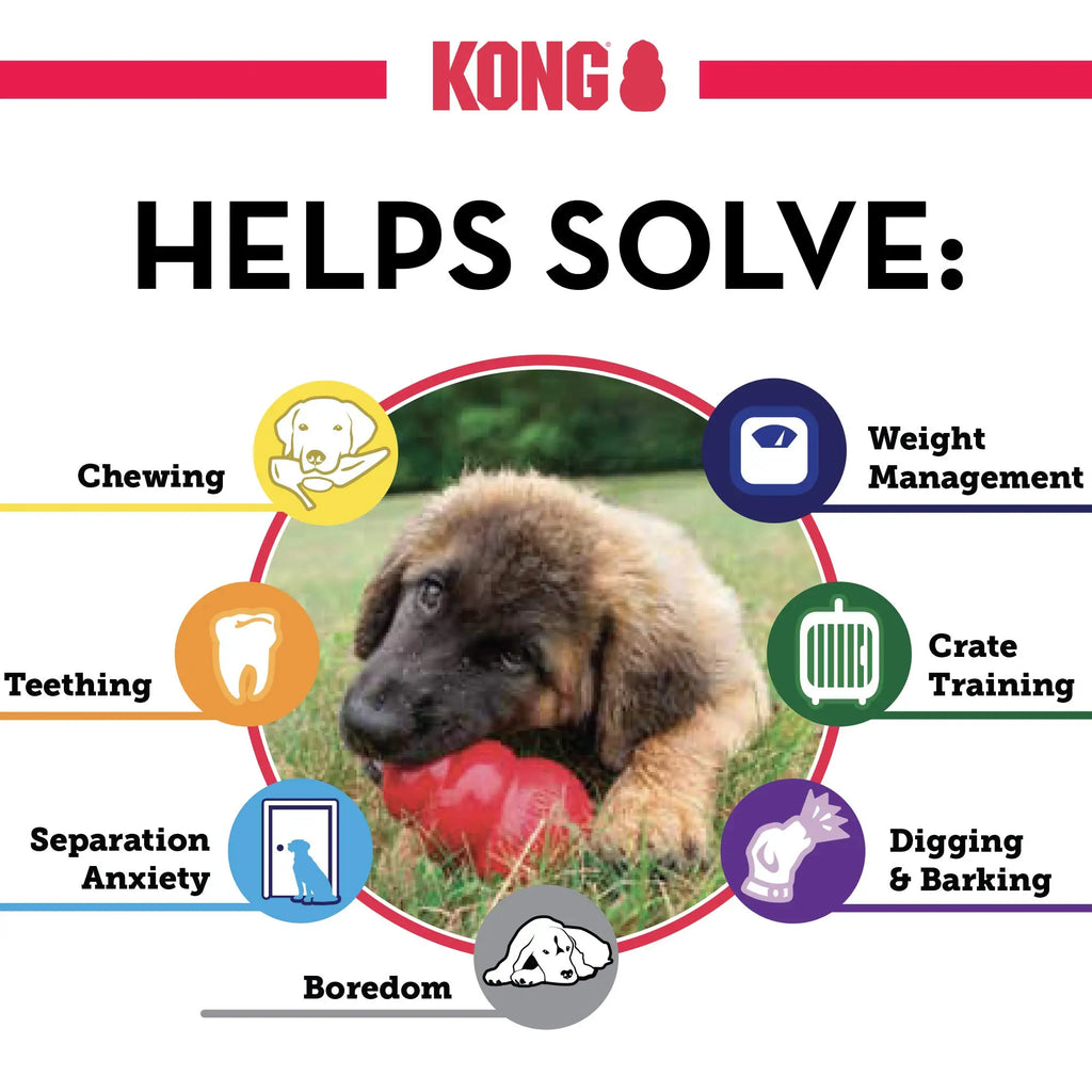 KONG Senior Dog Toy- Gentle Chew & Interactive