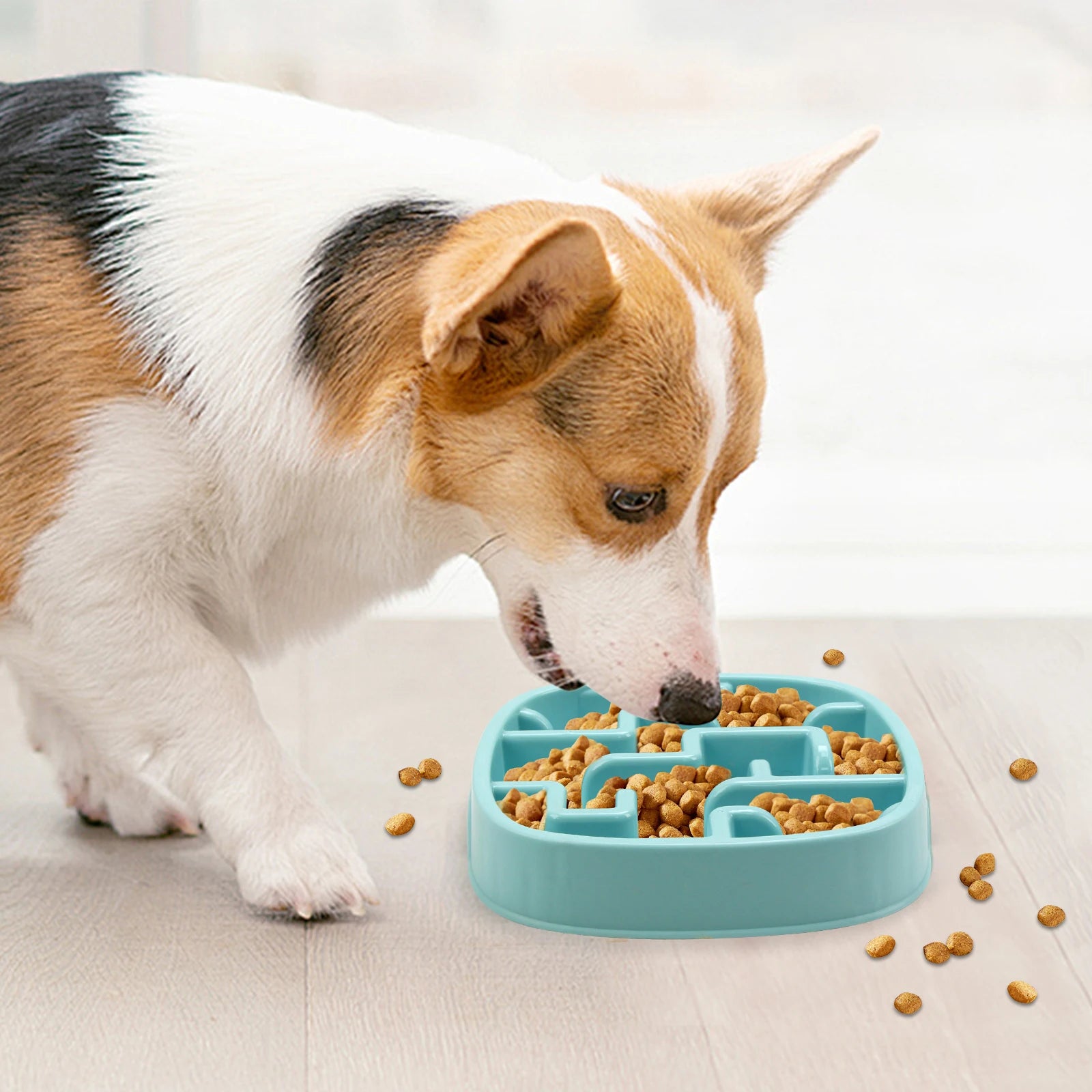 Slow Feeder Dog Bowl- Non-Slip, Anti-Choke & Healthy Eating Solution