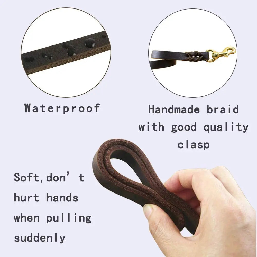 Premium Leather Dog Leash with Copper Hook
