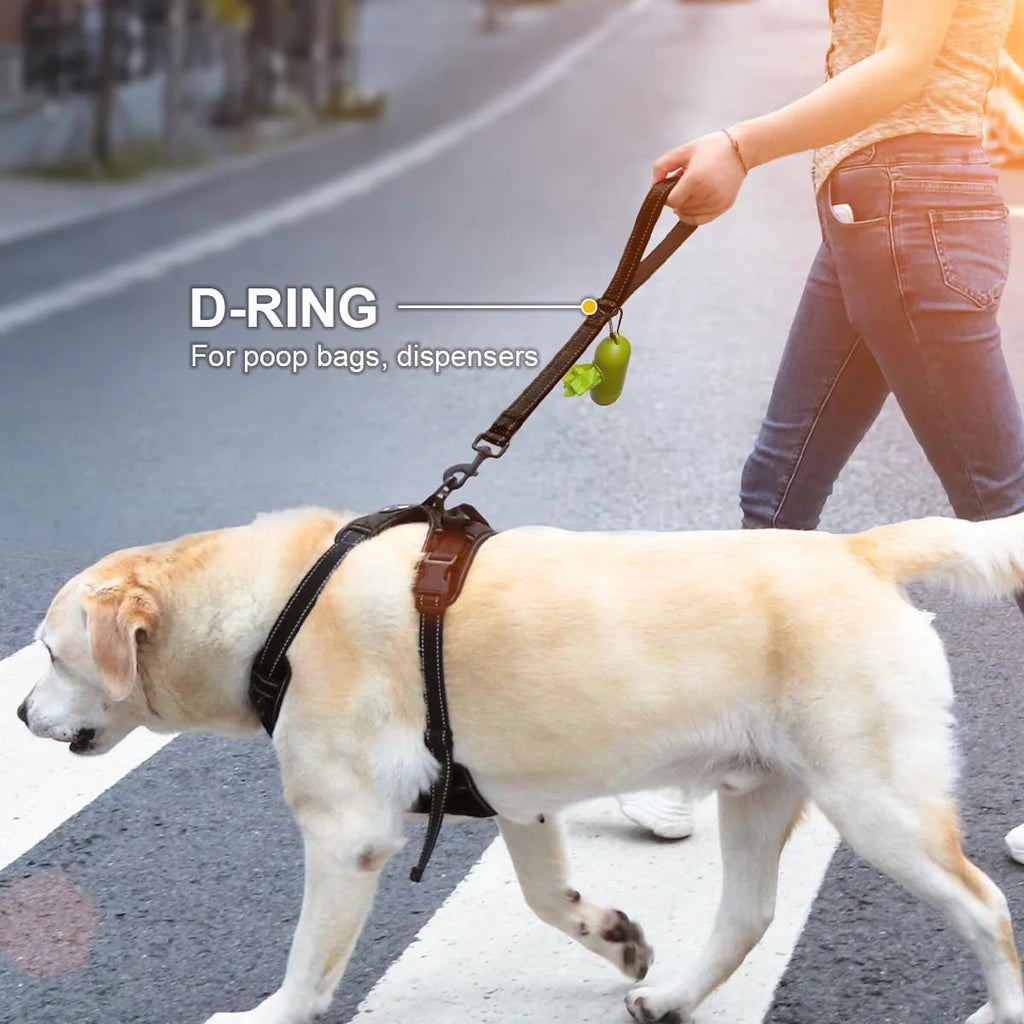 Heavy-Duty Short Dog Leash