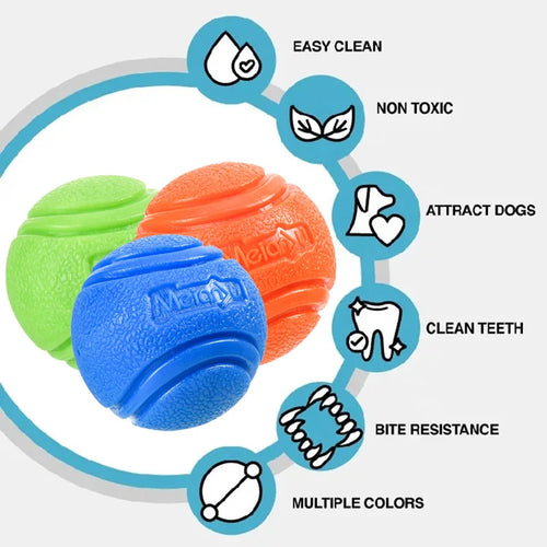 Interactive Rubber Dog Ball- Durable Chew & Bouncy Fetch Toy