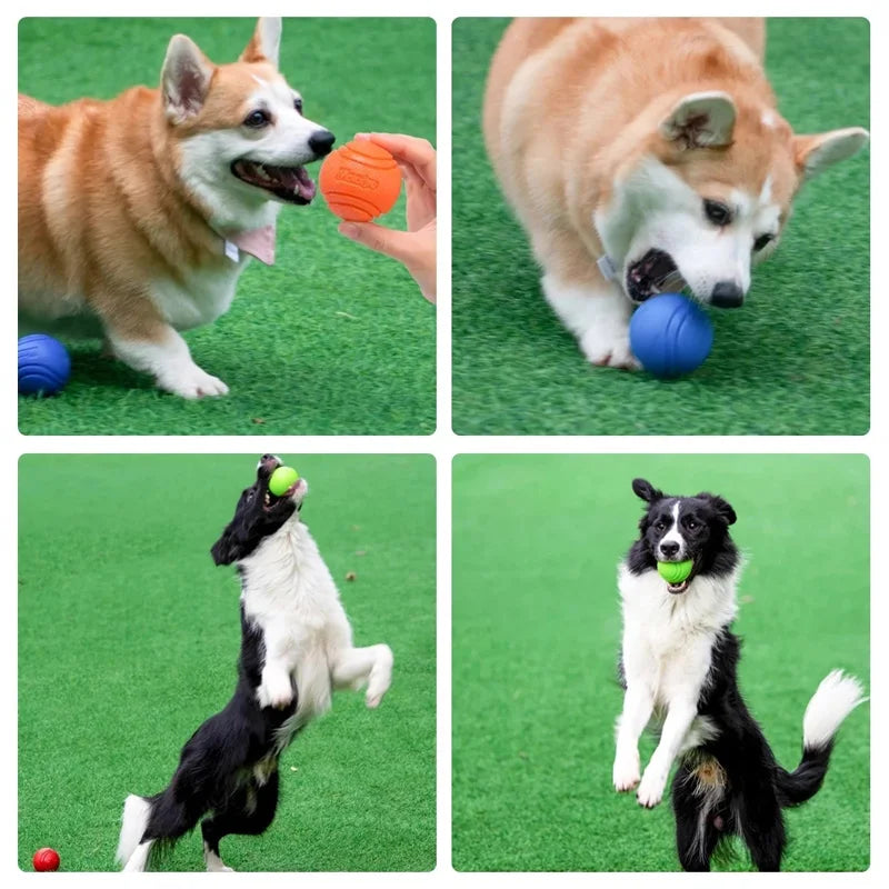 Interactive Rubber Dog Ball- Durable Chew & Bouncy Fetch Toy