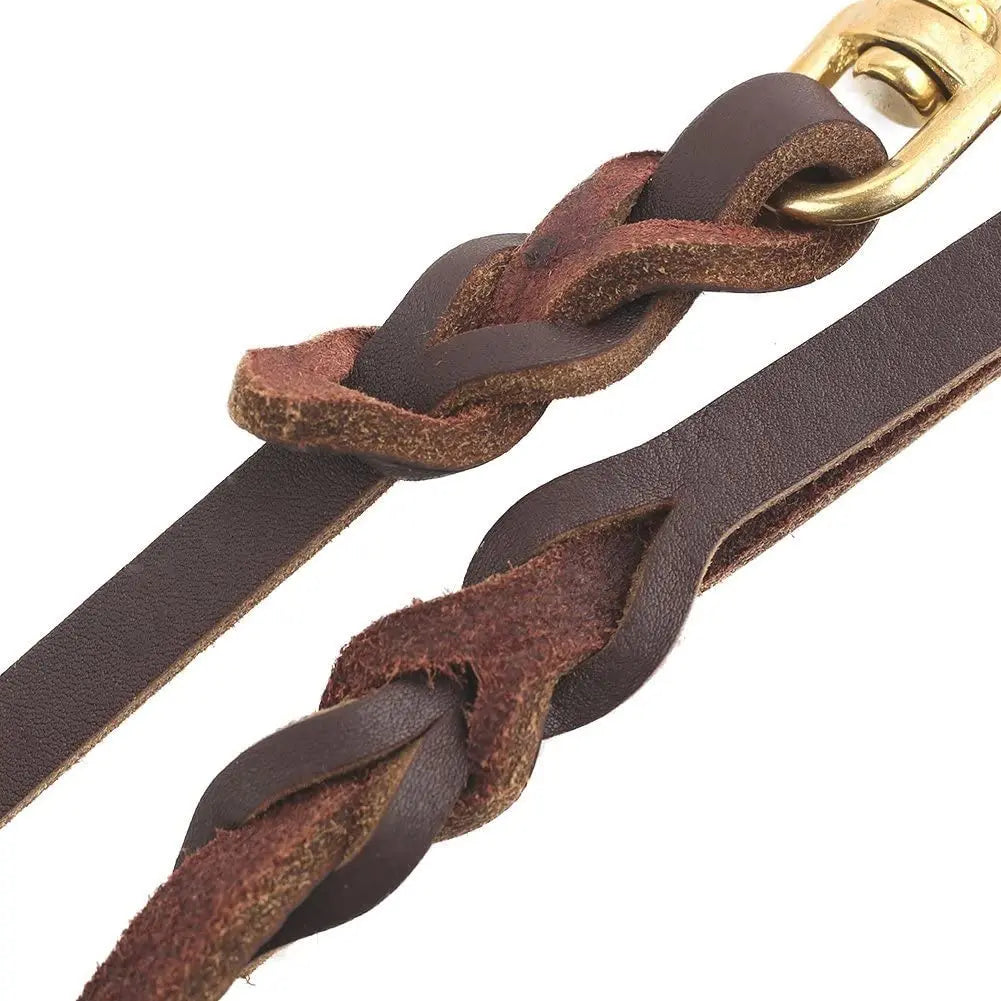 Premium Leather Dog Leash with Copper Hook