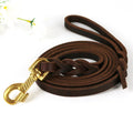 Premium Leather Dog Leash with Copper Hook