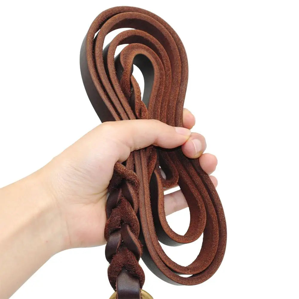 Premium Leather Dog Leash with Copper Hook