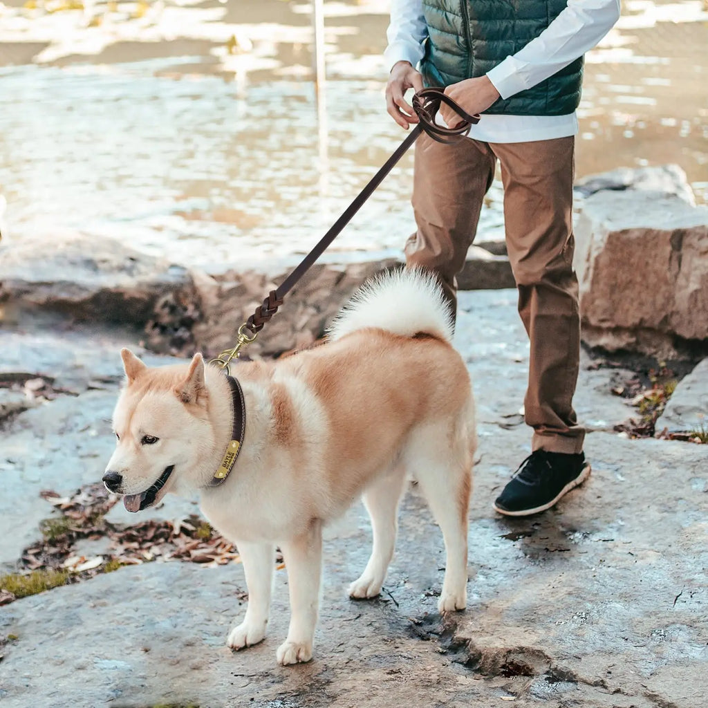 Premium Leather Dog Leash with Copper Hook