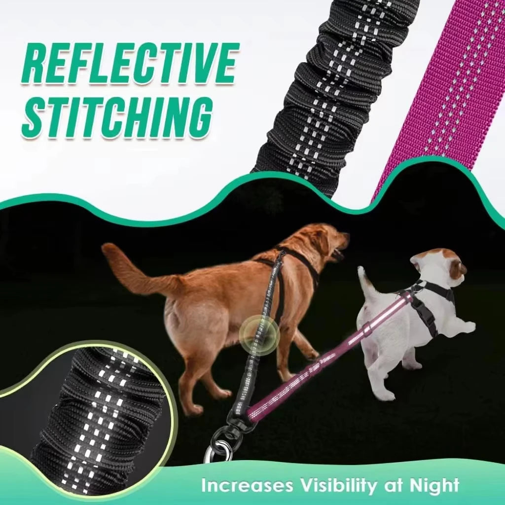 No-Tangle Dual Dog Leash Attachment- Tension Absorbing Double Lead for Easy Walks