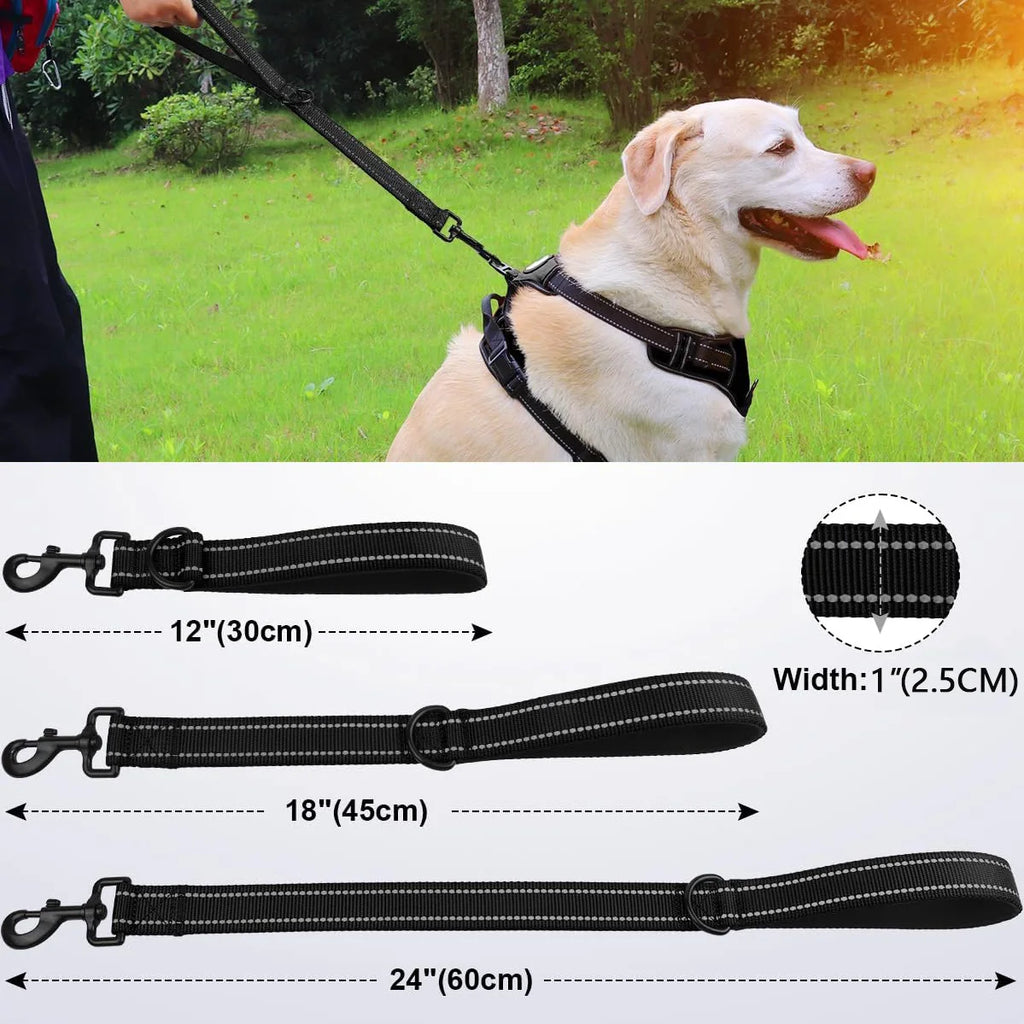 Heavy-Duty Short Dog Leash