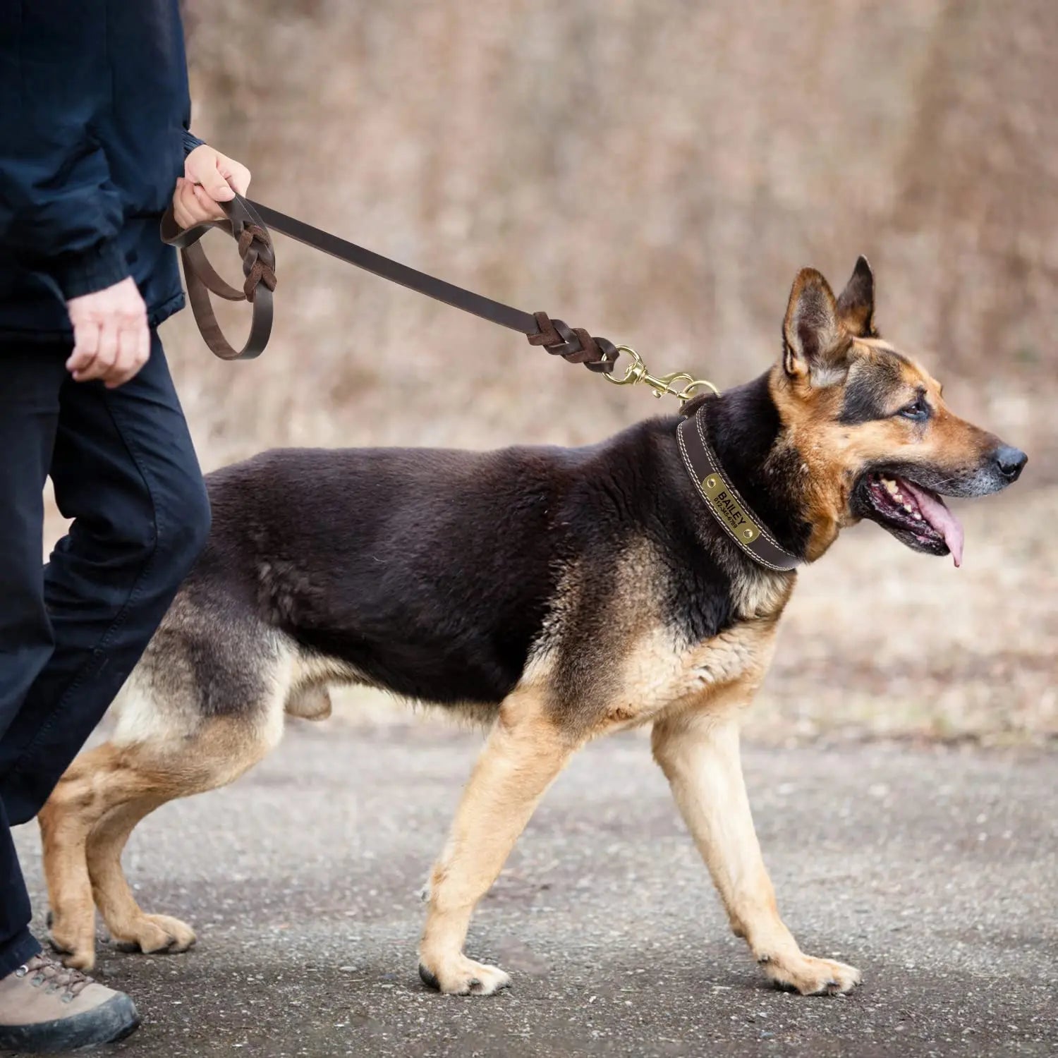 Premium Leather Dog Leash with Copper Hook